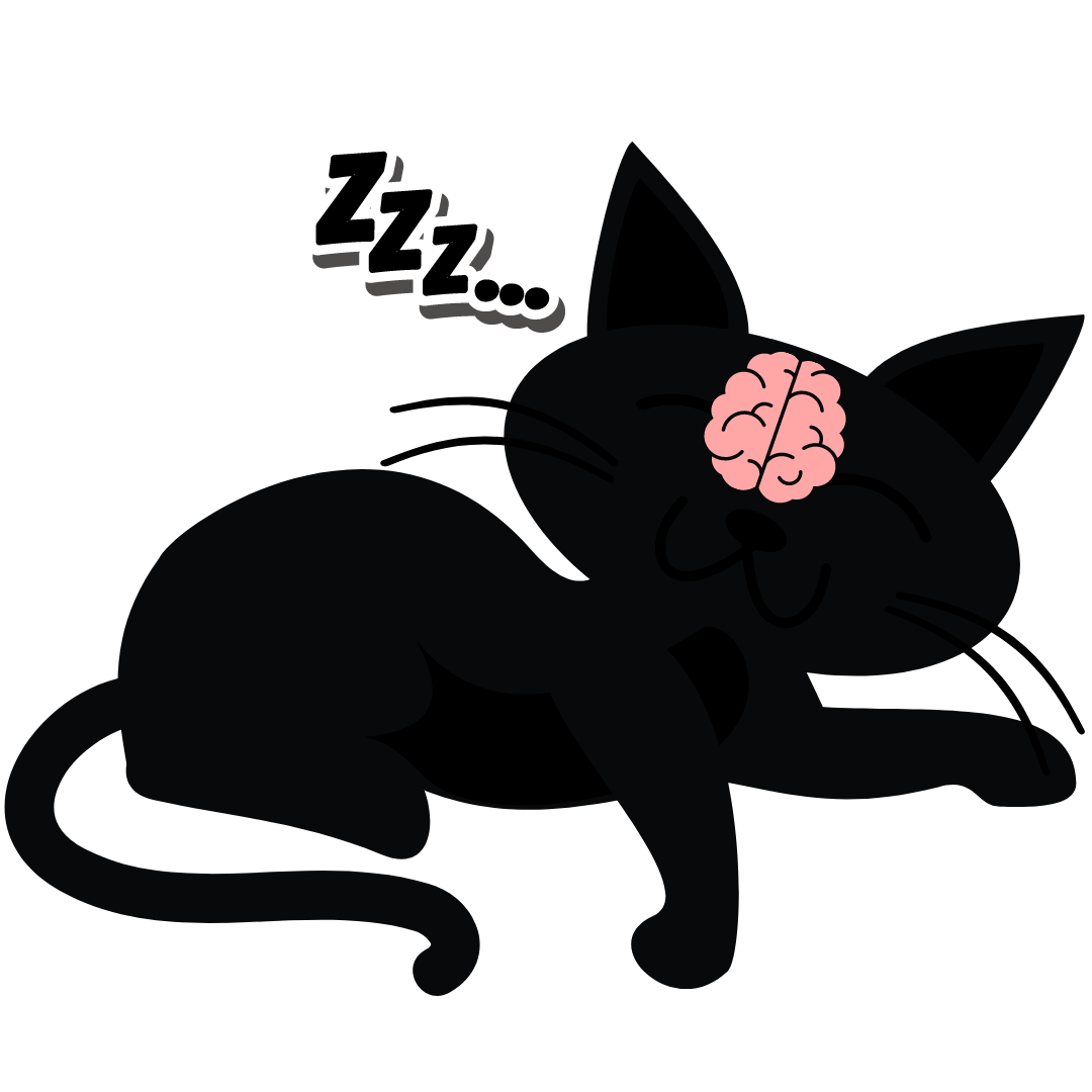 Why Do We Sleep?